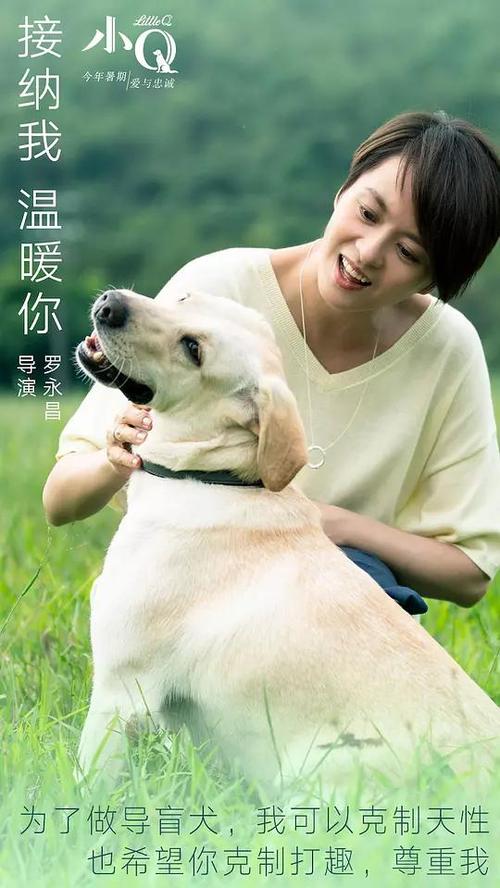 他项权证书高仿版本